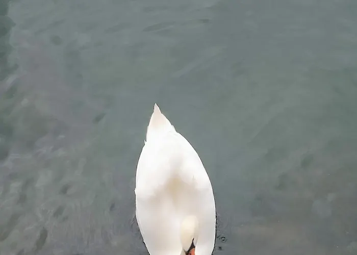 On The Апартаменты *